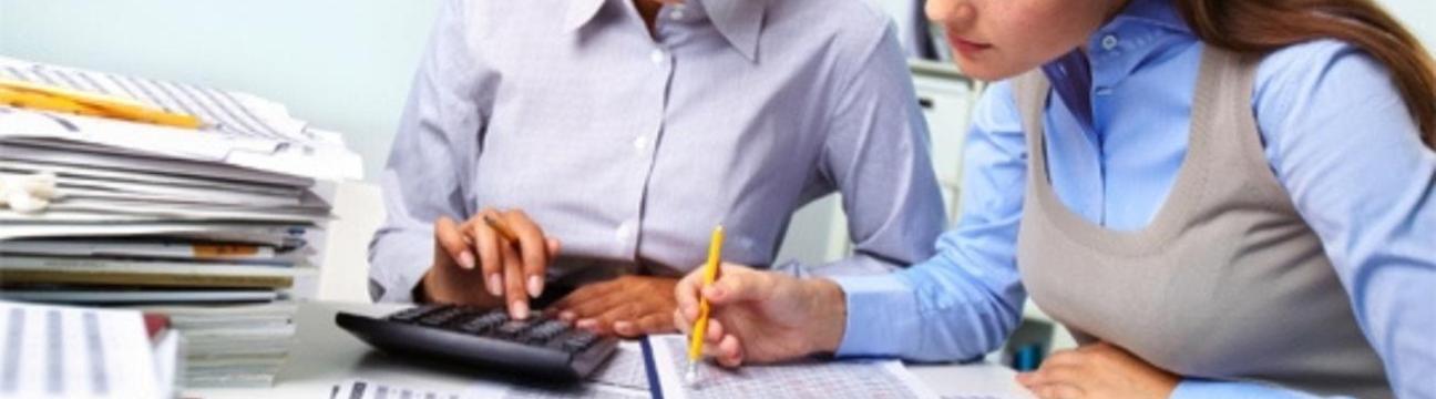 Elite Plus  Accounting
